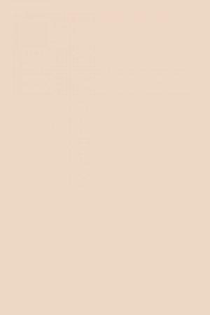 FARROW AND BALL SETTING PLASTER NO. 231 PAINT